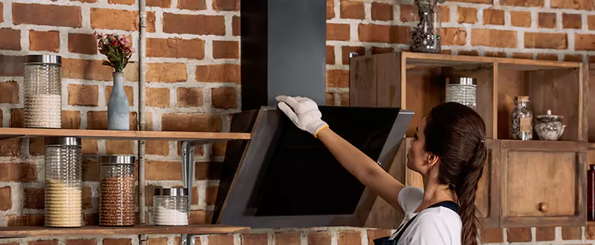 Chimney Installation in Las Palmas, CA
