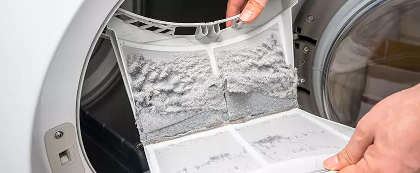 Best Dryer Lint Removal Company in Las Palmas, California