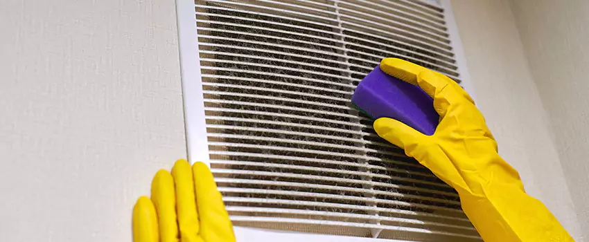 Vent Cleaning Company in Las Palmas, CA