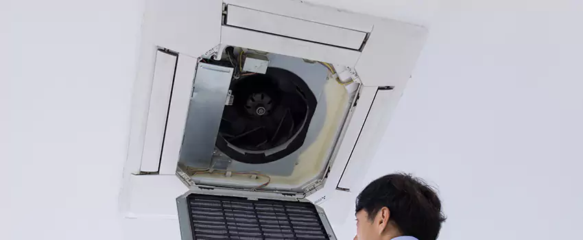 Benefits of Professional Air Duct Cleaning in Las Palmas, California